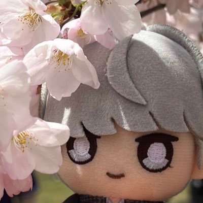 ✧さんのプロフィール画像