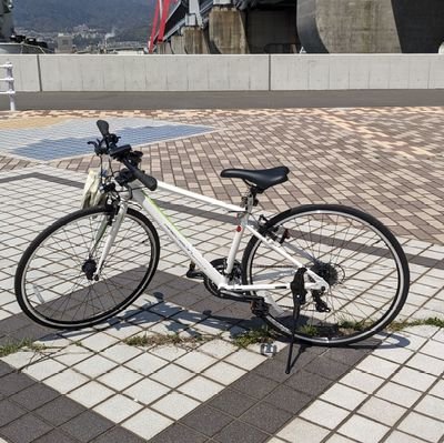 froszoraa1's profile picture. バイクはクロスバイク