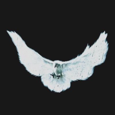 Zenandewastaken's profile picture. 