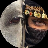 𝓗𝓐 ♚ (@ha_9666) Twitter profile photo