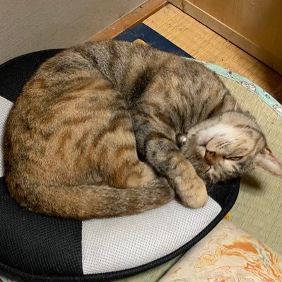 XBnoUY3mjb26028's profile picture. 