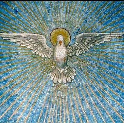 AnyiReBa's profile picture. 