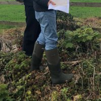 Alison I. Beach (@alisonibeach) 's Twitter Profile Photo