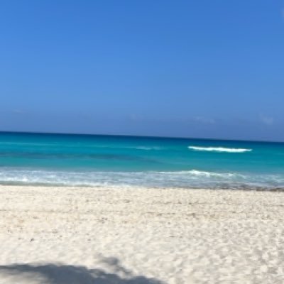 fmartinekf's profile picture. 