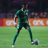 Estevão_ (@paid_celf) 's Twitter Profile