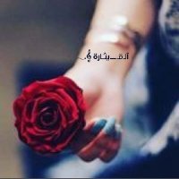 ٲلٖقيثــــ͡ــٰ̡ـاٖرٰؔه • ٲنــاا ✧ (@tha_angel__) 's Twitter Profile