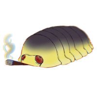 Orxatilla Isopod Guy (@orxatillaisopod) 's Twitter Profile