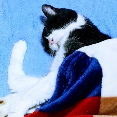 rock8p698p's profile picture. リマスターに目がないCDコレクター。FANKS。音楽への目覚めはTM NETWORK／Get Wild。cat person(ΦωΦ)✨アイコンはコロコロ替わります。I'm in love with the rock 'n' roll world❣️