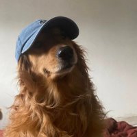 Benni ✌🏼 (@huskyrl) 's Twitter Profile