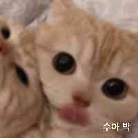 pa_rkua45's profile picture. 지식은 지혜를 키워주는 즐거움입니다.