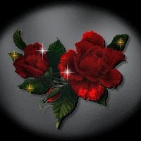 اليماني (@ymny62) Twitter profile photo