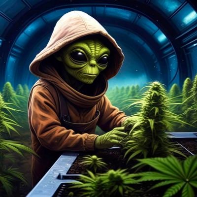 skknight757's profile picture. I am learning to grow cannabis. NFSOT, FEPO. I do not sell anything. Under Construction