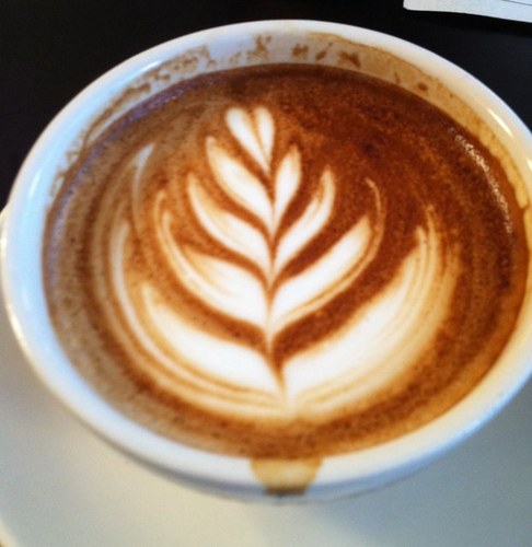 AtlanticaCedrus's profile picture. 