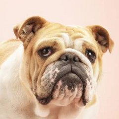 oypranee14's profile picture. ไหนหฟหดนไ้วฟ