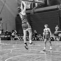 Logan Shimek (@shimek1331) 's Twitter Profile