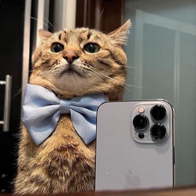 iam_jihad30's profile picture. 