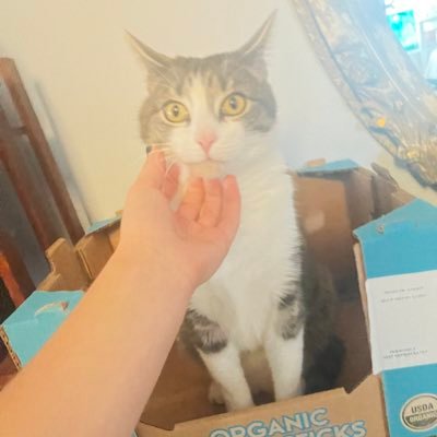 mizz_milf's profile picture. hey now