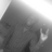 makarnone's profile image