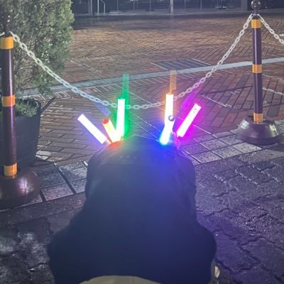 かりんと🍚🐿さんのプロフィール画像