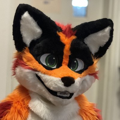 Chase the Fox Profile