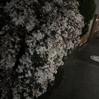カエル (@kaeru__76) Twitter profile photo