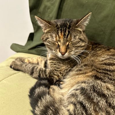 paiigeblackburn's profile picture. 🌈