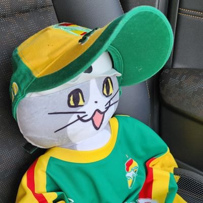 ジェフ市原　支給品　カップ戦　SEGA　ソニック　城彰ニ 1995 ジェフユナイテッド市原 城彰二 選手支給品 No.9 HOME S/S