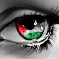 アルテミシア🇵🇸🇷🇺 شيح Artemisia Asteraceae (@nmyqwnhlc8vioij) 's Twitter Profile Photo