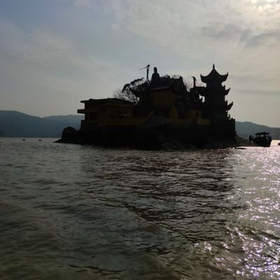 dngdngd89236450's profile picture. 