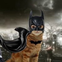 b-rad 🦔 (@catdadbatman) 's Twitter Profile Photo b-rad 🦔 (@catdadbatman) 's Twitter Profile Photo