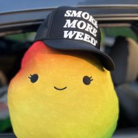 ms. nigga (@stramangomango) 's Twitter Profile