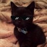 butch_nft's profile picture. 