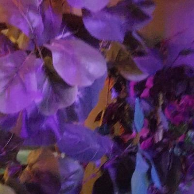 ndu_rich's profile picture.