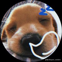 kirbcide (@hourbanist) 's Twitter Profile Photo kirbcide (@hourbanist) 's Twitter Profile Photo
