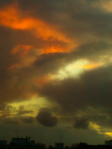 MandoBleu's profile picture. HCNE