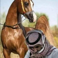 الشمالي(@FGFHFfz) 's Twitter Profile Photo