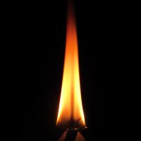 KJ_in_Exile 🕎 (@kj_in_exile) 's Twitter Profile