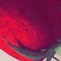 وَرْد (@wrd1974) 's Twitter Profile
