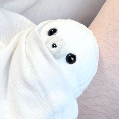 azarashi_wh's profile picture. 人権さよならホームラン