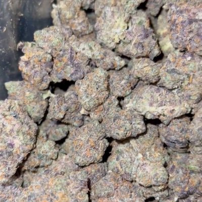 pmichi448702's profile picture. 🤝🔥✈️📦shipping to all 50 states All packs come insured check out telegram for menu and message only ready to order 🤝https://t.co/PjxaVGwMwU