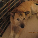 Richard Venn - @RichardVenn1 - Twitter