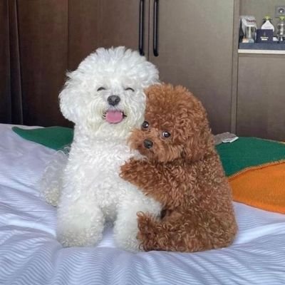 냉이さんのプロフィール画像