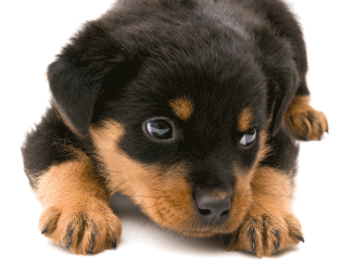 GSF600's profile picture. Trying to get things right!