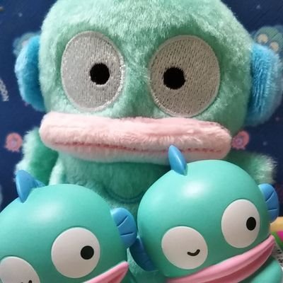 ハンギョドン🩵はぴだんぶい🩵ポッペンポップが大好き🩵
れいわ新選組に光を見つけ勇気をもらい希望に変え日々ハンギョドンに癒され生きてます(´⊙ω⊙`)୨🐾れいわオーナーズ🐾れいわ新選組を応援🐾山本太郎を総理大臣に!!🐾