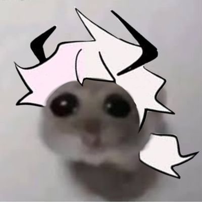 ショルさんのプロフィール画像