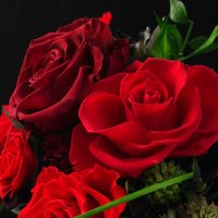 Kets-na (@ketuna_ana3) 's Twitter Profile Photo