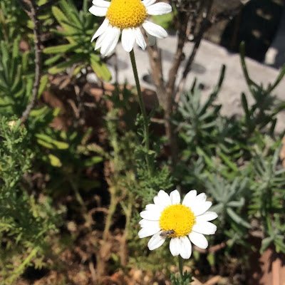 hanahana_0408's profile picture. 