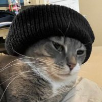 honja (@honjapla) 's Twitter Profile Photo honja (@honjapla) 's Twitter Profile Photo