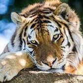 IrishWanless's profile picture. 