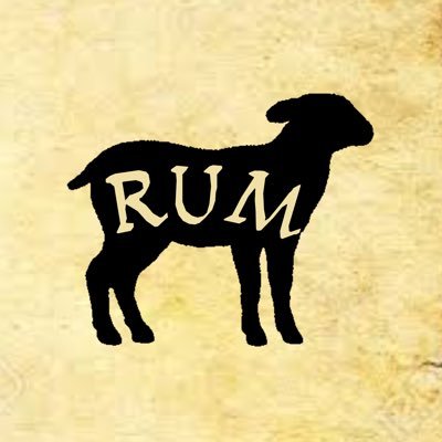 RUMcompany